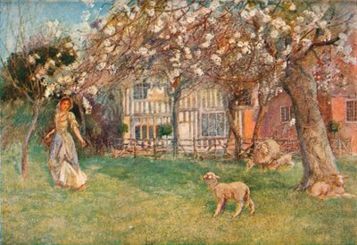 "Jagnięta", ok. 1904 r. autorstwa Herbert Alexander Collins