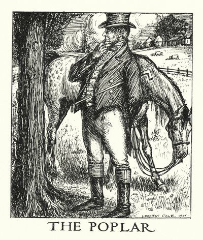 Ingoldsby Legends: Topola (litografia) autorstwa Herbert Cole