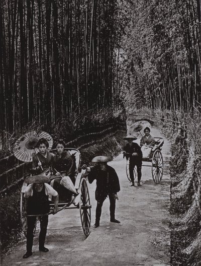 Bambusowa Aleja w Kioto (zdjęcie czarno-białe) autorstwa Herbert Ponting