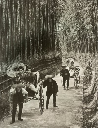 Aleja Bambusowa w Kioto, 1910. autorstwa Herbert Ponting