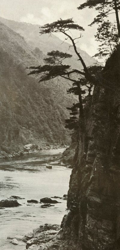 Glen na Katsura-Gawa, 1910. autorstwa Herbert Ponting