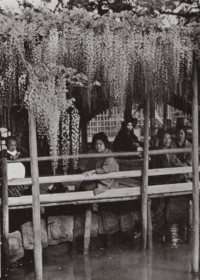 Altana Wistaria w Kameido (zdjęcie czarno-białe) autorstwa Herbert Ponting