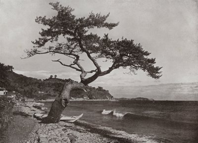 Atami (zdjęcie czarno-białe) autorstwa Herbert Ponting