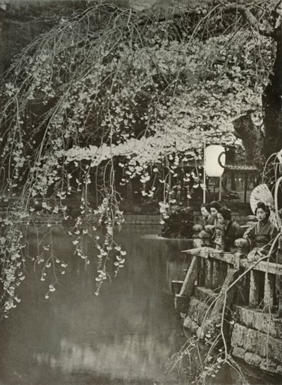 Czas kwitnienia wiśni w Japonii, 1910. autorstwa Herbert Ponting