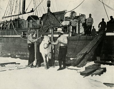 Wysiadanie z kucyków, c19101913, 1913 autorstwa Herbert Ponting