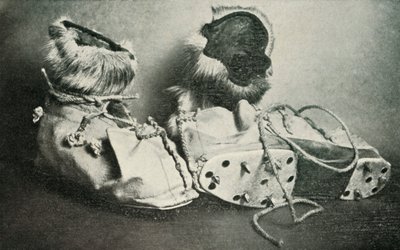 Finnesko z Rakami, c19101913, 1913 autorstwa Herbert Ponting
