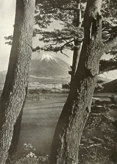 Fuji przez sosny jeziora Motosu, 1910. autorstwa Herbert Ponting