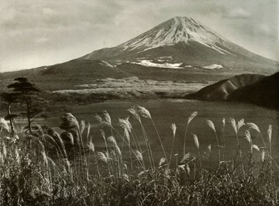 Fuji i trawa Kaia, 1910. autorstwa Herbert Ponting