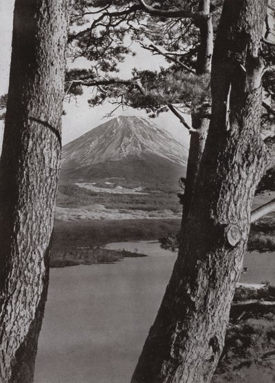 Fuji i sosny (zdjęcie czarno-białe) autorstwa Herbert Ponting