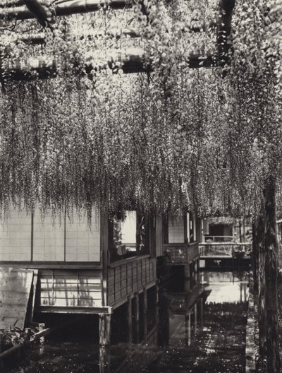 Japonia w latach 20.: Tokio, Kameido (zdjęcie czarno-białe) autorstwa Herbert Ponting