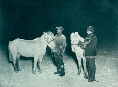 Bosmani Crean i Evans ćwiczą kucyki zimą, 1911, 1913 autorstwa Herbert Ponting