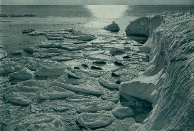 Foki wygrzewające się na nowo utworzonym lodzie naleśnikowym z Cape Evans, c19101913, 1913 autorstwa Herbert Ponting