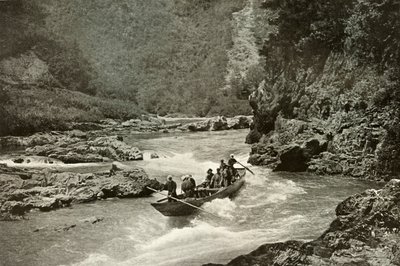 Strzelanie do bystrza Katsura-Gawa, 1910. autorstwa Herbert Ponting