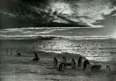 Północne słońce w McMurdo Sound, c19101913, 1913 autorstwa Herbert Ponting