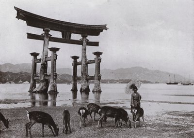 Stare Torii w Miyajima (zdjęcie czarno-białe) autorstwa Herbert Ponting