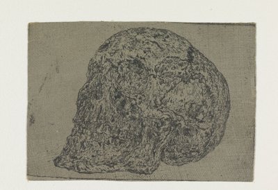 Czaszka autorstwa Hercules Segers