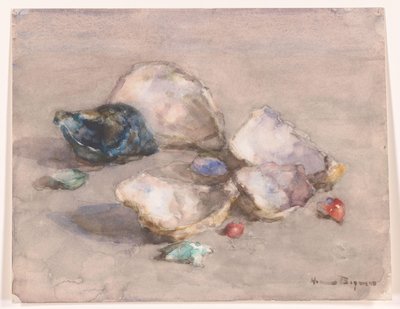 Muszle na plaży autorstwa Herman Bogman (signed by artist)