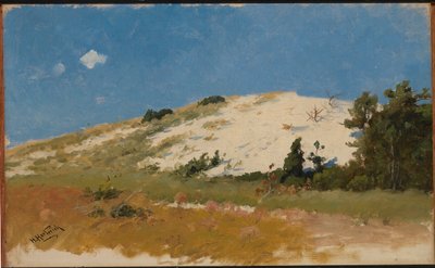 Cape Cod, wydma piaskowa autorstwa Herman Hartwich