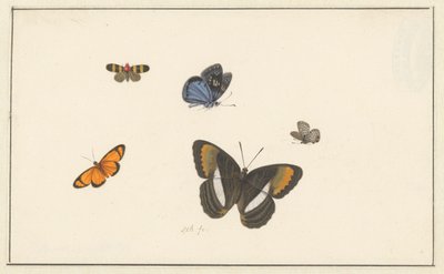Pięć motyli (akwarela i gwasz) autorstwa Herman Henstenburgh
