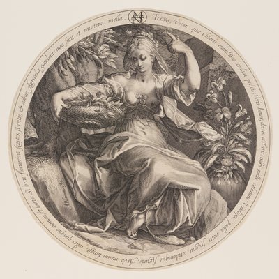Flora autorstwa Herman Jansz. Muller
