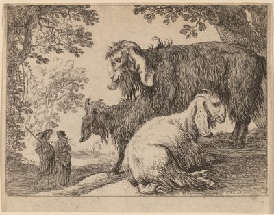 Owca angora autorstwa Herman van Swanevelt