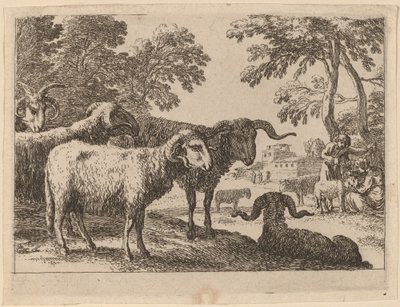 Rams autorstwa Herman van Swanevelt