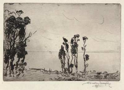 Krajobraz brzegowy autorstwa Hermann Dudley Murphy