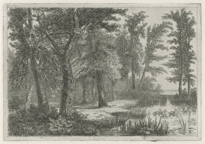 Widok na las z torfowiskiem z kaczkami autorstwa Hermanus Jan Hendrik van Rijkelijkhuysen
