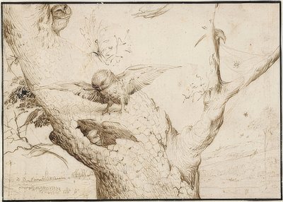 Eulennesta. 1505-10 autorstwa Hieronymus Bosch
