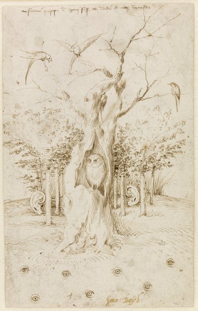 Drewno ma uszy, pole ma oczy par Bosch, Hieronymus (ok. 1450-1516). Pióro, tusz indyjski, brązowy na papierze, format: 20,2x12,7,ok. 1500-1515, Staatliche Museen, Berlin autorstwa Hieronymus Bosch