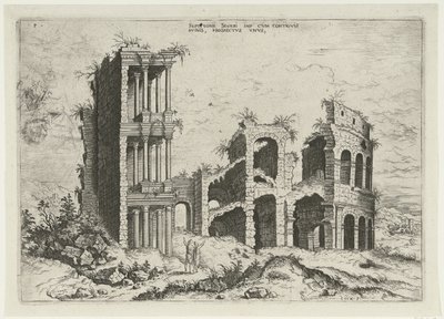 Gezicht op het Septizonium en het Colosseum in Rome Septizonii Severi Imp (...) (title on object) Romeinse ruïnes (series title)   1333512   pl       polish Successfully Translated  Original: Larch-leaf or tree triggerplant, Stylidium laricifolium Translat autorstwa Hieronymus Cock