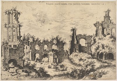 Widok ruin na Wzgórzu Palatyńskim z trabeowaną fasadą po lewej i arkadami pośrodku, fr..., 1550. autorstwa Hieronymus Cock