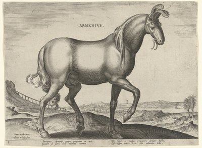 Koń z Armenii (Armenius) Ormianie (tytuł na obiekcie) Rasy koni z Królewskich Stajni Don Juana Austrii (tytuł serii) Equile Ioannis Austriaci Caroli (tytuł serii) autorstwa Hieronymus Wierix