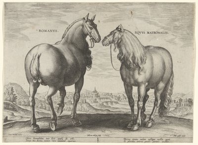 Koń z Rzymu i klacz zastępcza Romanvs Eqvvs Matronalis (tytuł na obiekcie) Rasy koni z Królewskich Stajni Don Juana Austrii (tytuł serii) Equile Ioannis Austriaci Caroli (tytuł serii) autorstwa Hieronymus Wierix
