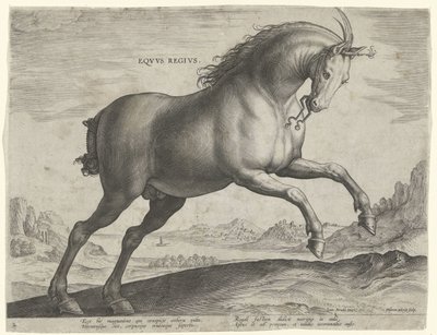 Koń rasy Equus Regius (królewski) Eqvvs Regivs (tytuł na obiekcie) Rasy koni z Królewskich Stajni Don Juana Austrii (tytuł serii) Equile Ioannis Austriaci Caroli (tytuł serii) autorstwa Hieronymus Wierix