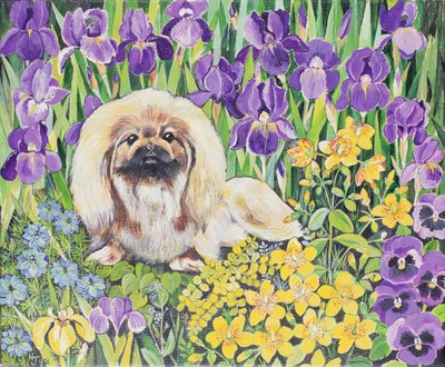 Wilma autorstwa Hilary Jones