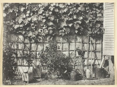 La Treille autorstwa Hippolyte Bayard