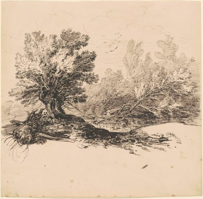 Wierzba Pollard nad strumieniem autorstwa Hippolyte Lalaisse