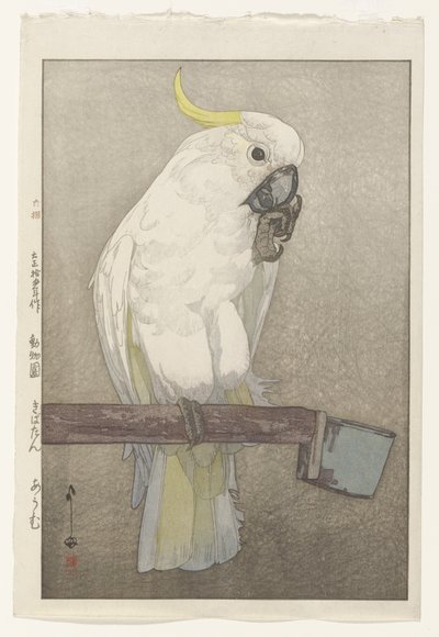 Kakadu żółtoczuba autorstwa Hiroshi Yoshida