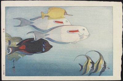 Akwarium w Honolulu autorstwa Hiroshi Yoshida