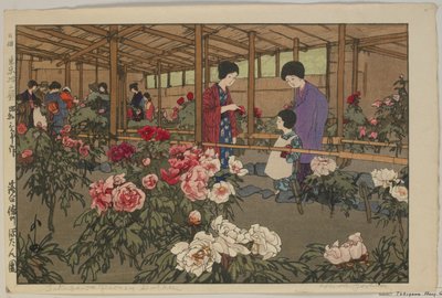 Tokugawa Peony Garden, z serii Dwanaście scen Tokio, epoka Showa autorstwa Hiroshi Yoshida