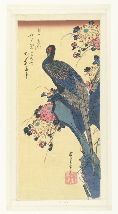 Bażant i chryzantemy autorstwa Hiroshige (I) , Utagawa