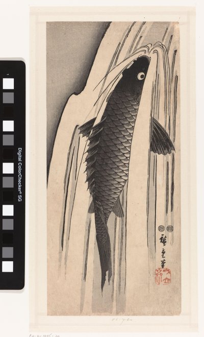 Karp pływający pod wodospadem autorstwa Hiroshige (I) , Utagawa