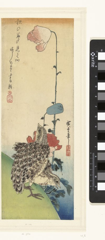 Przepiórka i maki autorstwa Hiroshige (I) , Utagawa