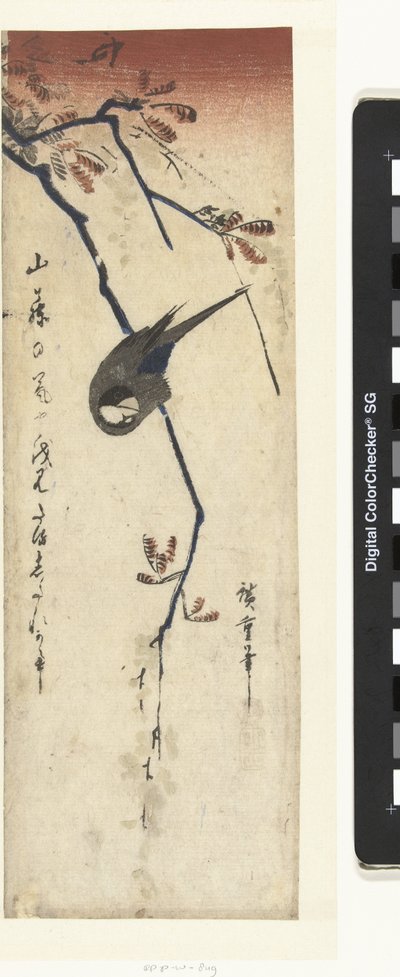 Ptak i glicynia autorstwa Hiroshige (I) , Utagawa