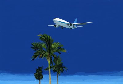 Samolot i palma autorstwa Hiroyuki Izutsu