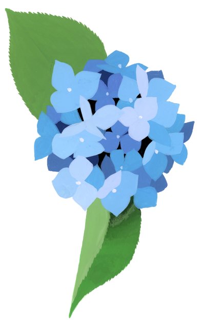 hortensja autorstwa Hiroyuki Izutsu