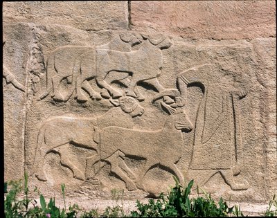 Widok podstawy płaskorzeźb Bramy Sfinksa autorstwa Hittite Hittite
