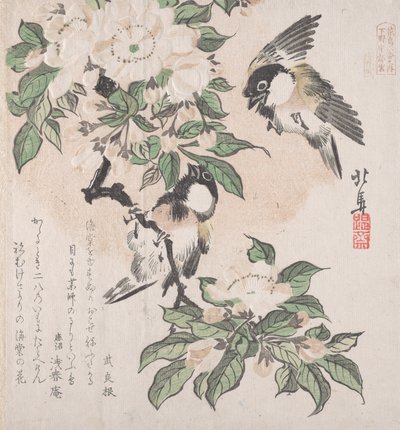 Kolekcja wiosennego deszczu Harusame shu, obj. 3: Sikorki błotne i kwiaty krabowej jabłoni, ca. ...,ok. 1820. autorstwa Hokuba