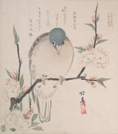 Kolekcja wiosennego deszczu Harusame shu, obj. 3: gołąb górski i kwiaty brzoskwini 1820 r., ok. 1820 r. 1820. autorstwa Hokuba